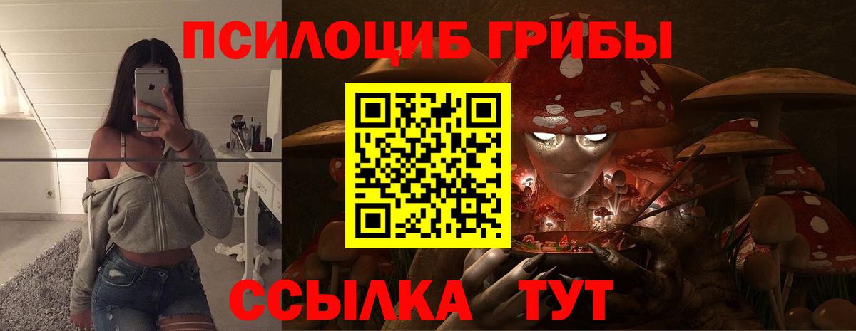 Псилоцибиновые грибы GOLDEN TEACHER  Вход с VPN  Псилоцибиновые грибы мухоморы  Берёзовский 